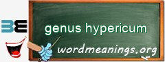 WordMeaning blackboard for genus hypericum